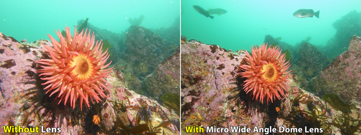 Sealife Ultra Wide Angle Dome Lens - Micro Series & RM-4K