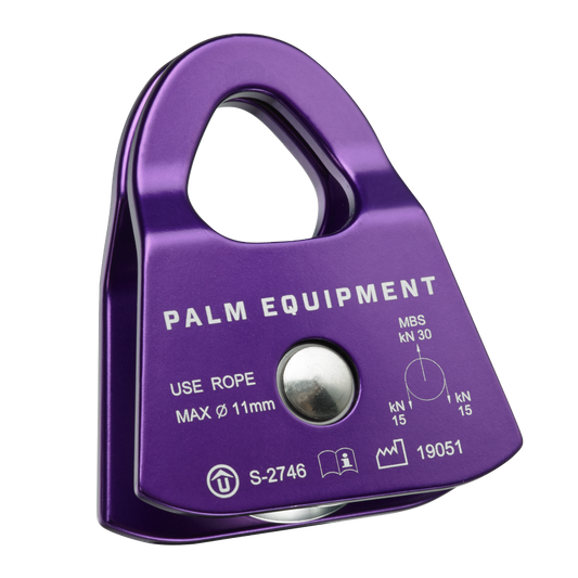 Palm Prusik Minding Swing Cheek Pulley