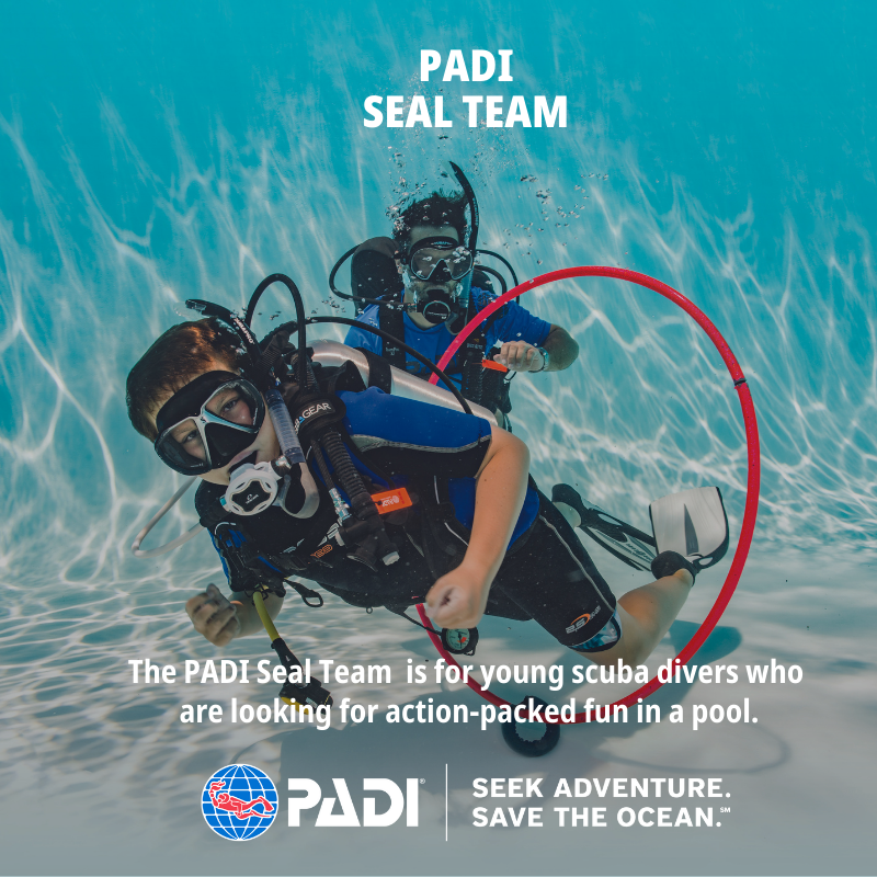PADI Seal Team - Part 1