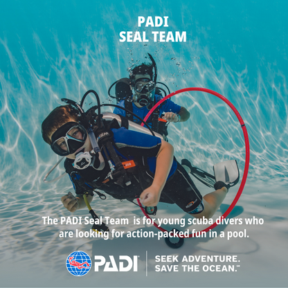PADI Seal Team - Part 1