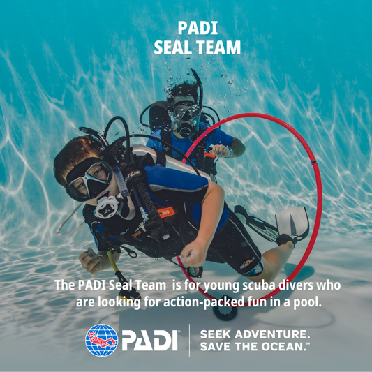 PADI Seal Team - Part 1