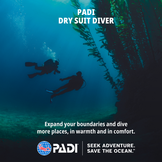 PADI Drysuit Diver
