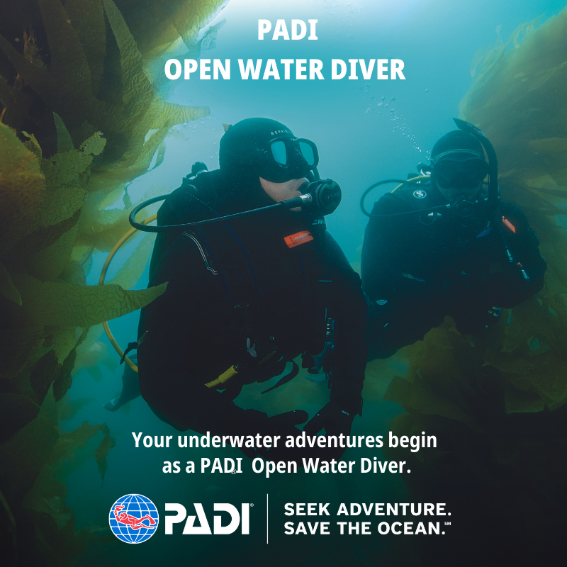 PADI Open Water Diver Course