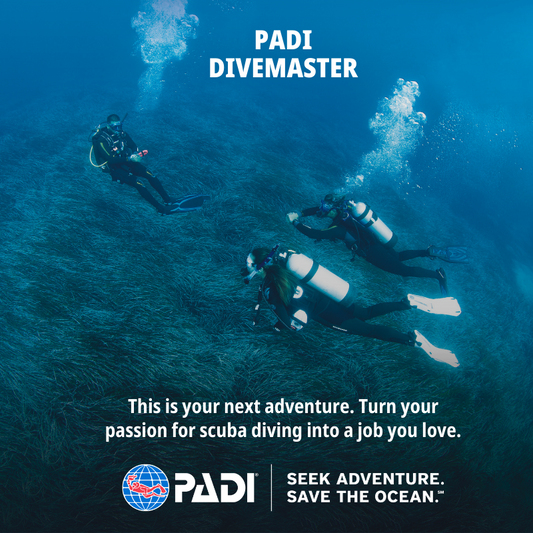 PADI Divemaster Course