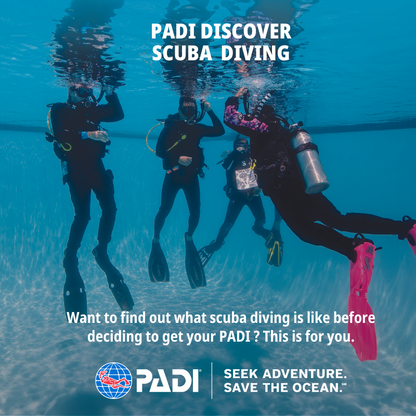 Discover SCUBA Diving