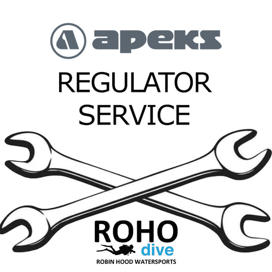 Apeks Regulator Service - From