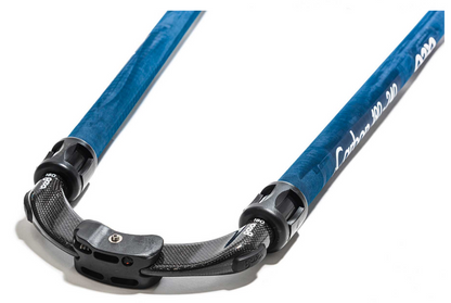 Goya Carbon Boom 60%