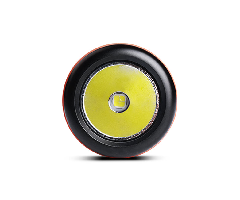 Orca D620 v2.0 Canister Dive Light