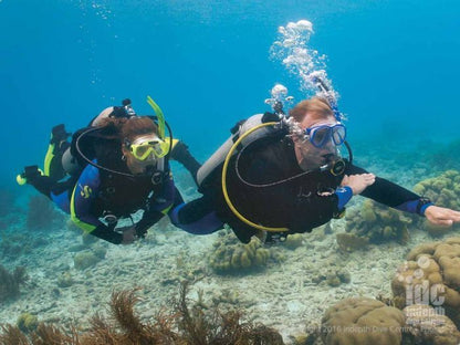 PADI Underwater Navigation