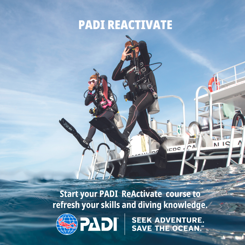 PADI ReActivate