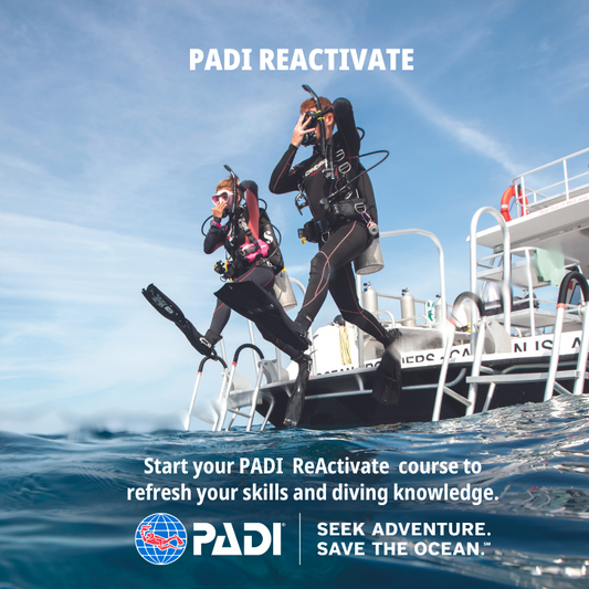 PADI ReActivate