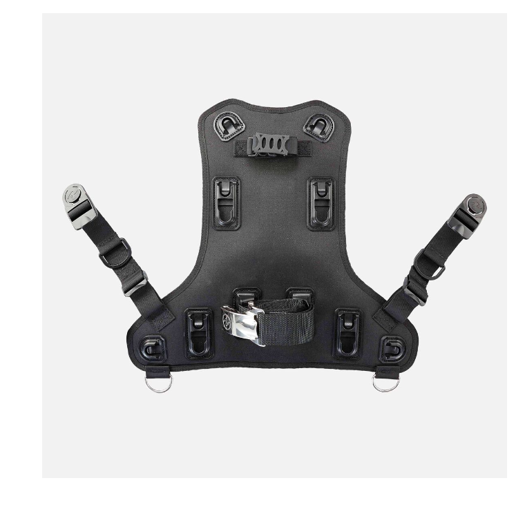 Aqualung Rogue Back Assembly
