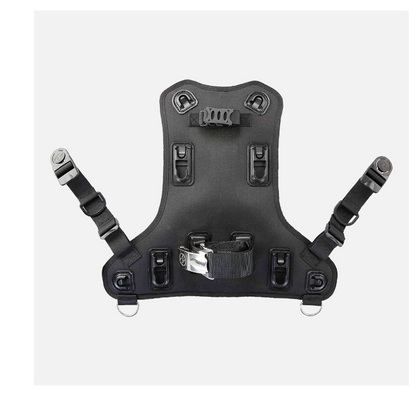 Aqualung Rogue Back Assembly