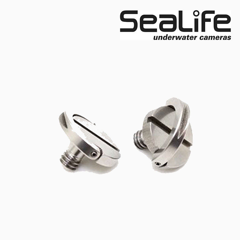 Stainless Steel 1/4-20 Hinged D-Ring