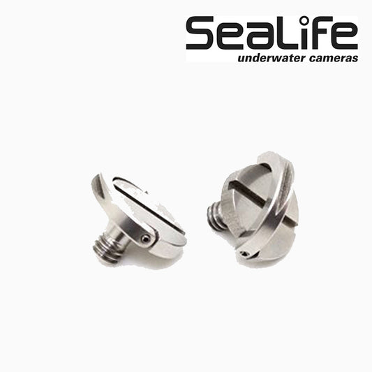 Stainless Steel 1/4-20 Hinged D-Ring