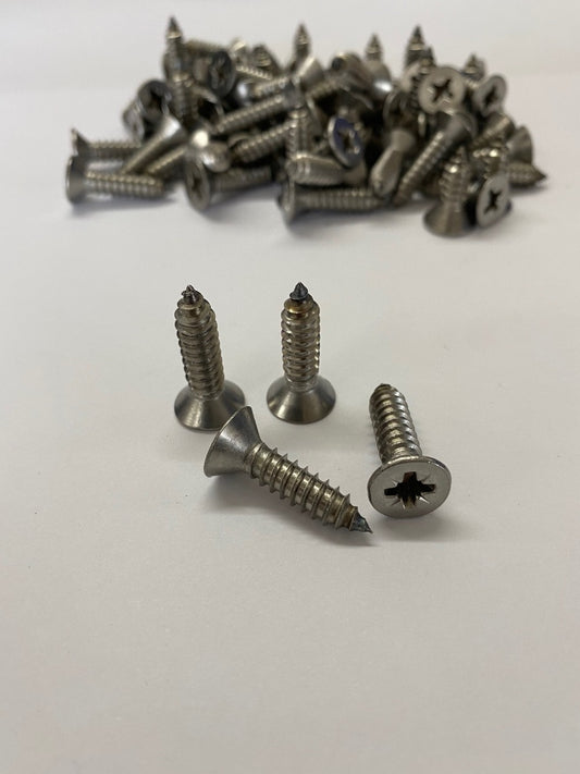 Self Tapping Screw 4 Pack 25mm